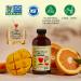 CHILDLIFE ESSENTIALS Kids Multivitamin & Mineral - Kids Vitamins Liquid Multivitamin for Kids Toddler Multivitamins Liquid Vitamins Baby Multivitamin - Natural Orange & Mango 8 Fl Oz (Pack of 4) Orange Mango 8 Fl Oz (P  - Buy Online on GoSupps.com