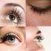 Easy Fan Lashes - 0.03 0.05 0.07 Rapid Blooming Eyelash Extensions | C D DD Curl | Volume Lashes 8-20mm | International Shipping - Buy Online on GoSupps.com
