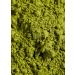 KoRo - Th Matcha bio japonais Mizu 80 g - Qualit premium naturel et d tox en vrac Mizu Pack de 1 - Buy Online on GoSupps.com