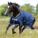 Bucas Freedom Turnout 145 Horse Blanket - Light Navy/Silver | Durable & Waterproof | International Shipping Available - Buy Online on GoSupps.com