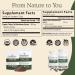 Real Mushrooms Turkey Tail Capsules Organic Mushroom Extract for Daily Wellness, Gut Harmony, Energy Support Vegan, Non-GMO, No Fillers Turkey Tail Extract 200 Count Mushroom Supplement - Buy Online on GoSupps.com