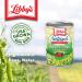 Libby's Naturals Sweet Peas - No Added Salt or Sugar, Naturally Sweet & Nutty | Tender & Succulent, Creamy Smooth | Grown & Made in the USA | 15 oz (Pack of 12) - Buy Online on GoSupps.com