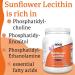 Now Foods Sunflower Lecithin Powder 454g - Lab-Tested, Gluten-Free, Soy-Free, Vegan - Buy Online on GoSupps.com