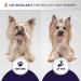 Hydra Soft-Touch Spray | Fragrance-Free Moisturizer for Dogs & Cats - 16.9oz - Buy Online on GoSupps.com