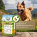 Bellfor Weideland-Schmaus High-quality dry food for dogs grain-free with lamb and high digestibility without animal by-products 10 kg - Buy Online on GoSupps.com