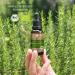 Phintin Organic Rosemary Oil - 100% Natural Hair Growth Stimulator | 30ml Essential Oil | Certified German Quality - Buy Online on GoSupps.com