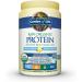 Garden of Life Raw All-in-One Nutritional Shake Vanilla & Raw Organic Protein Vanilla 624g Shake + Protein Vanilla Vanilla 969 g (Pack of 1) - Buy Online on GoSupps.com
