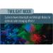 GloFish 4-mode Cycle Light for 20 Gallon Interactive Aquariums - Buy Online on GoSupps.com