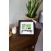 Pearhead Pet Collar Keepsake Picture Frame - Espresso Collar Frame - Buy Online on GoSupps.com