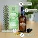  BIONOBLE BIONOBLE Rosemary Oil for Hair Growth - Promotes Growth and Slows Down - Rosemary Castor Argan and Jojoba Essential Oil - R - Buy Online on GoSupps.com