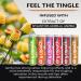 Xero Picks Dry Mouth Infused Flavored Toothpicks - Variety 6 Pack for Fresh Breath & Dry Mouth Prevention - Buy Online on GoSupps.com