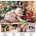 VavoPaw Christmas Stocking Cat Toys - Interactive Santa Claus Teaser Wand, Plush Rat Ball & Gingerbread Man - Fun Holiday Gifts for Cats - Buy Online on GoSupps.com