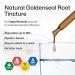 BIO KRAUTER Goldenseal Root - Pure Vegan Goldenseal Tincture 670mg per Serving 2 Fl.Oz 28-Day Supply - Immune & Respiratory Support - Liquid Golden Seal for Digestive Support - Alcohol & Sugar Free 2 Fl Oz (Pack of 1) - Buy Online on GoSupps.com