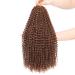 Dansama Passion Twist Hair Water Wave Braiding Hair for Butterfly Style Crochet Braids Bohemian Hair Extensions (18inch, #30, Economy Pack) 18 Inch (Pack of 6) #30