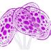 Buy VOCOSTE Silicone Glowing Aquarium Simulation Coral - Purple Violet with Suction Cup for International Shipping - Buy Online on GoSupps.com