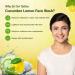 Sri Sri Ayurveda Cucumber Face Wash 60ml | Refreshing Natural Skincare for All Skin Types - Shop Internationally - Buy Online on GoSupps.com