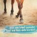 Ida Plus Mauke Spray for Horses 500ml | Quick Relief from Mauke Beam Rot & Eczema | Effective Microorganisms for Skin-Friendly Hoof Care - Buy Online on GoSupps.com