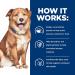 Hill's Prescription Diet Derm Complete Dry Dog Food 6.5 lb - Veterinary Diet for Skin & Food Sensitivities - Buy Online on GoSupps.com