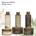 Organic Hair Shampoo for Women - Hydrating Aloe Vera & Strengthening Avocado - 97.5% Natural Vegan Moisturizing & Hypoallergenic - 8.5 Fl Oz (Argan) - International Shipping Available - Buy Online on GoSupps.com