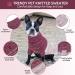 Queenmore Turtleneck Knitted Dog Sweater in Medium Purple | Leash Hole | Cold Weather Pet Knitwear for Small Medium Dogs - Buy Online on GoSupps.com