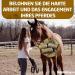 EGGERSMANN Horse Food 1kg | Cereal-Free Low-Calorie Horse Treats | Delicious Bricks for Horses & Ponies | Grain-Free Reward Snacks | Premium Quality Horse Accessories - Buy Online on GoSupps.com