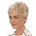 Shop Degenhardt Wig KIEL Naturell Plus - High-Quality Synthetic Hair in Rock Crystal Beige Blonde | Perfect for Natural Look - Buy Online on GoSupps.com