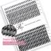 Riya 20D-30D Eyelash Clusters Extension Kit - 240pcs D Curl Wispy Lashes for DIY Volume Look at Home - Buy Online on GoSupps.com