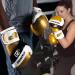 Starpro Boxing Gloves - 16oz Gold for Men & Women | Durable Fast Knockouts & Training Performance - Buy Online on GoSupps.com