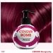 Colour Bomb - Apr s-shampoing colorant 250 ml brillance et clat intenses lissant et nourrissant sans m lange v gan sans ammoniaque ni peroxyde (Burgundy) - Buy Online on GoSupps.com