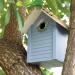 Navaris Wooden Bird House - Garden Nesting Box for Small Birds - Pine Wood Birdhouse - Real Wood Nester Cabin for Robins Blue Tits Sparrows - Blue - Buy Online on GoSupps.com