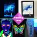 10-Pack Glow in The Dark Pigment Powder for DIY Crafts - Luminous Epoxy Resin Color Dyes - Skin Safe, Long Lasting, Self Glowing - for Slime, Nail Art, Painting - 0.4oz Each - Buy Online on GoSupps.com