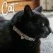 Ancol Reflective Gloss Hearts Safety Cat Collar Silver Gloss Hearts Silver 1 Count (Pack of 1) - Buy Online on GoSupps.com