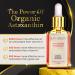 Luxe Beauty Organic Astaxanthin Serum - Powerful Antioxidant & Anti-Aging Face Serum with Rosehip Clove & Raspberry Seed Oils - Shop Internationally - Buy Online on GoSupps.com