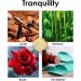 Tranquility Large Oud Candle Organic/Vegan Scented Soy Wax - 280g/60hrs | Oud Fine Roses Bamboo Eucalyptus | Home Gift for Women & Men - Buy Online on GoSupps.com