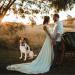KOOLMOX Adjustable White Dog Bow Tie Collar for Formal Tuxedo Outfits | Small Medium Large Dogs | Wedding Holiday Valentines Costumes | Black White | 13.4-17.3 Inch - Buy Online on GoSupps.com