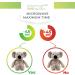 Thermal-Aid Zoo Ollie The Koala Kids Hot/Cold Heating Pad Stuffed Animal - Natural Sleep Aid & Pregnancy Must-Have for Baby First Aid Kit - Buy Online on GoSupps.com