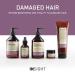 Revitalize Damaged Hair with Our Restructurizing Mask - International Shipping Available - Buy Online on GoSupps.com