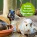Bactador Rodent Cage Odour Remover Spray 500ml - Microbiological Enzyme Cleaner for Rodent Environments - Eliminates Faeces, Urine, and Animal Odours - Buy Online on GoSupps.com