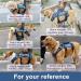 COODEO Dog Lifting Harness - Adjustable Breathable Support for Rehabilitation | Ideal for Old & Disabled Pets - Blue - International Shipping - Buy Online on GoSupps.com