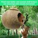 Aobuviou Gecko Coconut Husk Hut Coconut Bird Nest Reptile Coconut Hide with Ladder Natural Reptile Hideouts Bird Coconut Shell Coconut Hide for Reptiles Bird Small Animal - Buy Online on GoSupps.com