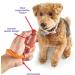 Brightkins Smarty Pooch Training Clicker - American Football Style Dog Clicker for Effective Training | Flexible Hand Loop | Enhance Dog Behavior Solutions - Buy Online on GoSupps.com