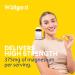 Wellgard Vegan Magnesium Supplements Optimal Strength Magnesium Supplement Made in UK Blend - Buy Online on GoSupps.com