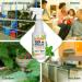 Mighty Mint 16oz Natural Peppermint Oil Spray - Cockroach Repellent - Buy Online on GoSupps.com