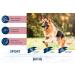 Happy Dog 60776 Supreme Fit & Vital Sport - 14 kg Sole Feed for Active Dogs | Performance & Nutrition Booster - Buy Online on GoSupps.com