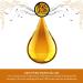 Buy Oil of Youth Cinnamon Bark Essential Oil 8oz - Premium Bulk Cinnamon Bark Oil for Skincare & Wellness - Buy Online on GoSupps.com