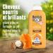 Le Petit Marseillais | Organic Honey & Shea Nutrition Shampoo (300 ml) Silicone-free shampoo for dry and brittle hair 96% natural origin for optimal shine - Buy Online on GoSupps.com
