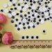 TOAOB 300pcs Self Adhesive 12mm Black Wiggle Googly Eyes for DIY Arts Crafts - Buy Online on GoSupps.com