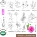 Organic28+. 100% Organic Aromatherapy for Women USA Made. Rose Essential Oil Blend. Balance & Tranquility. Aphrodisiac Sleep Aromatherapy. Stress Relief Gifts. Organic Gifts for Women.0.17 Fl. Oz - Buy Online on GoSupps.com