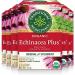 Traditional Medicinals - Organic Echinacea Plus Herbal Tea (Pack of 6) - Help Relieve Cold and Flu Symptoms - 96 Tea Bags Total Echinacea Plus 16 Count (Pack of 6)