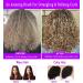 KTKUDY Styling Brush 9 Row - Defining Curls Hair Comb for Thick, Wavy, Curly Hair - Blow-Drying & Finishing Detangling Brush (Purple) - Buy Online on GoSupps.com